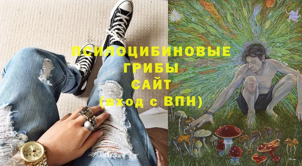 твердый Верхний Тагил